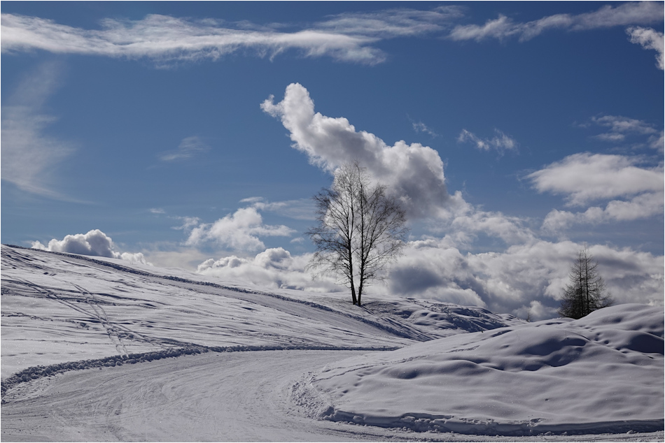 ���������� ����