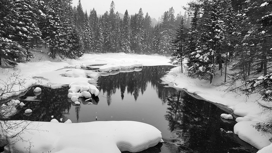 ���������� ����