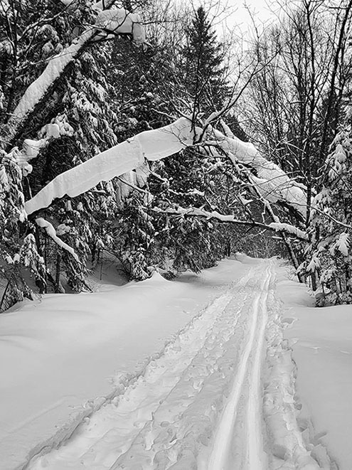 ���������� !!!!