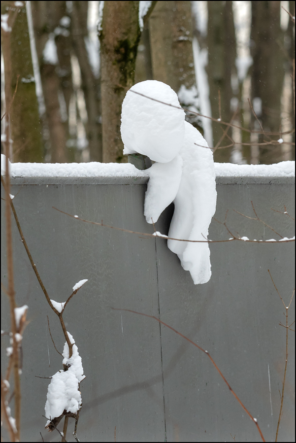 ���������� �������������