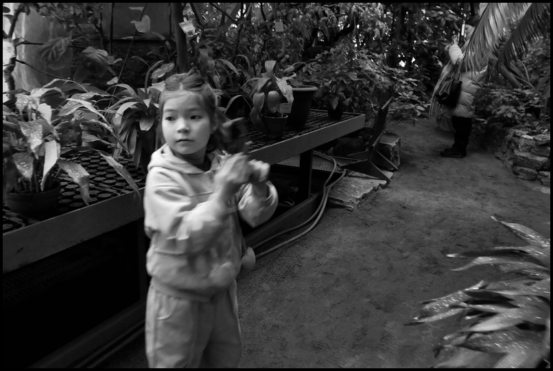 ���������� ����� ǣ��, ��� �������.