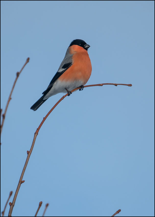 ���������� ������