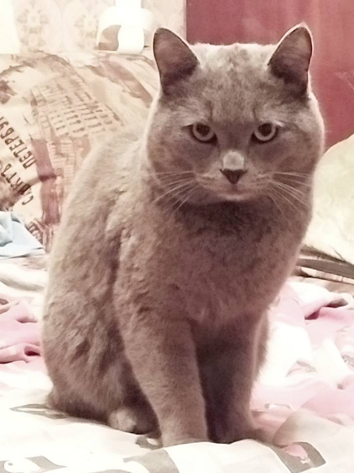 ���������� �� ������ ��� �� ����, � ������!...