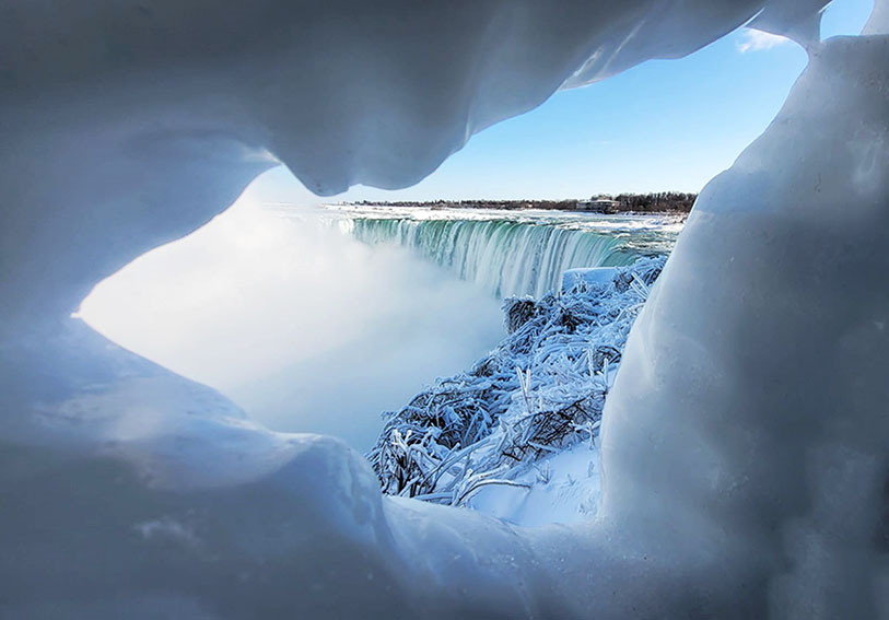 ���������� ****