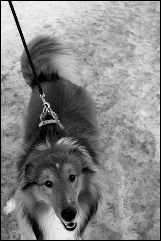 ���������� �����.