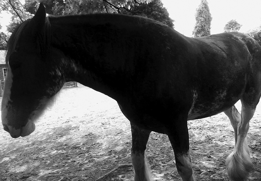 ���������� ��������� ����� ��� 17 ������� 2026