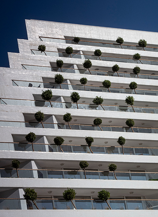 ���������� � �� ����� ������ �������