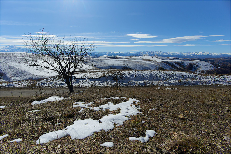 ���������� ������ ����� ������