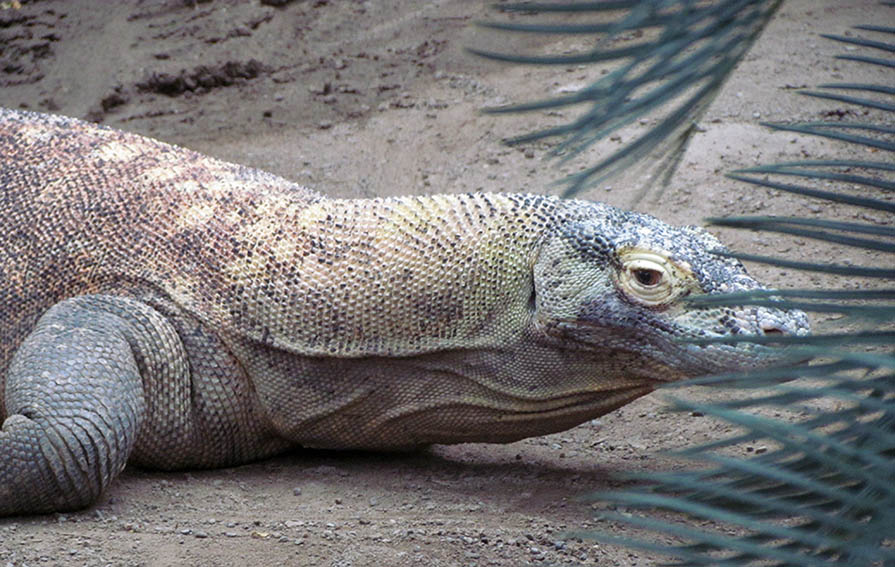 ���������� ��������� ����� � ��������