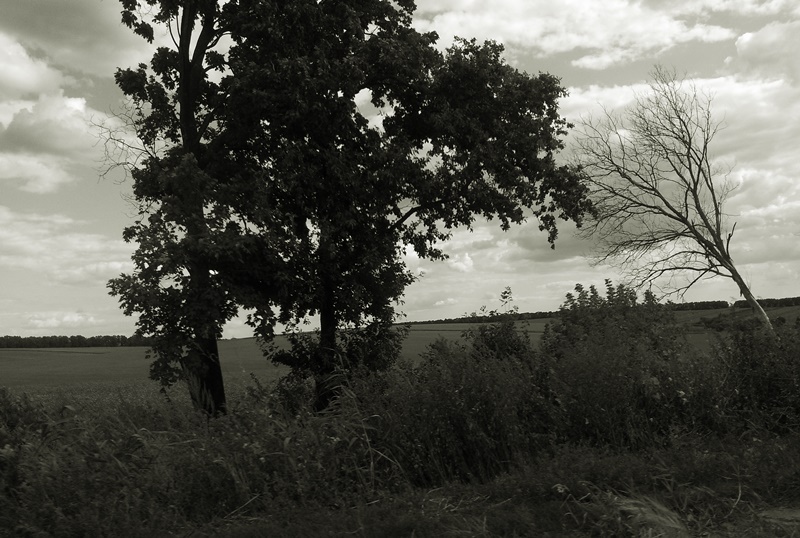 ���������� 538-2