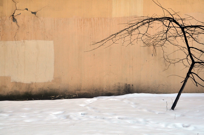 ���������� 2464-1