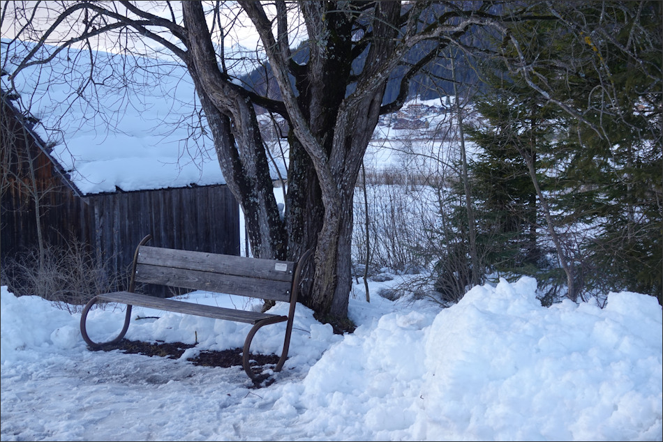 ���������� ����0558