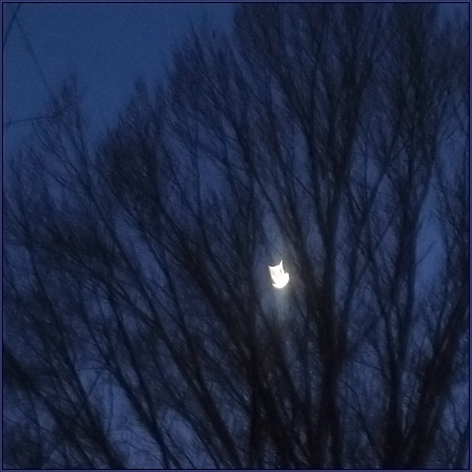 ���������� ���� ����������...