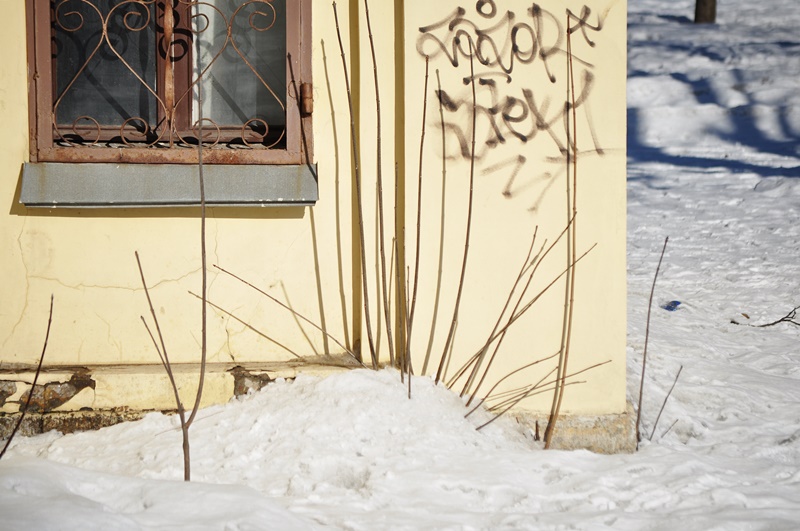 ���������� 097