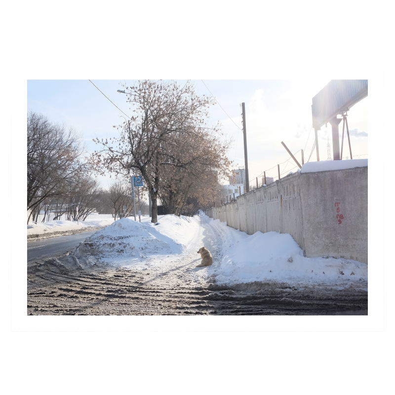 ���������� ��������� � ������ 