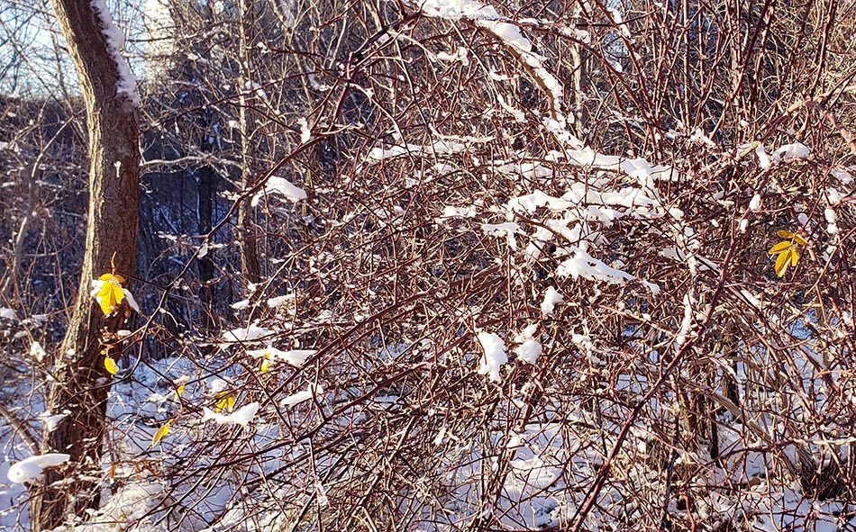 ���������� ������� ��������