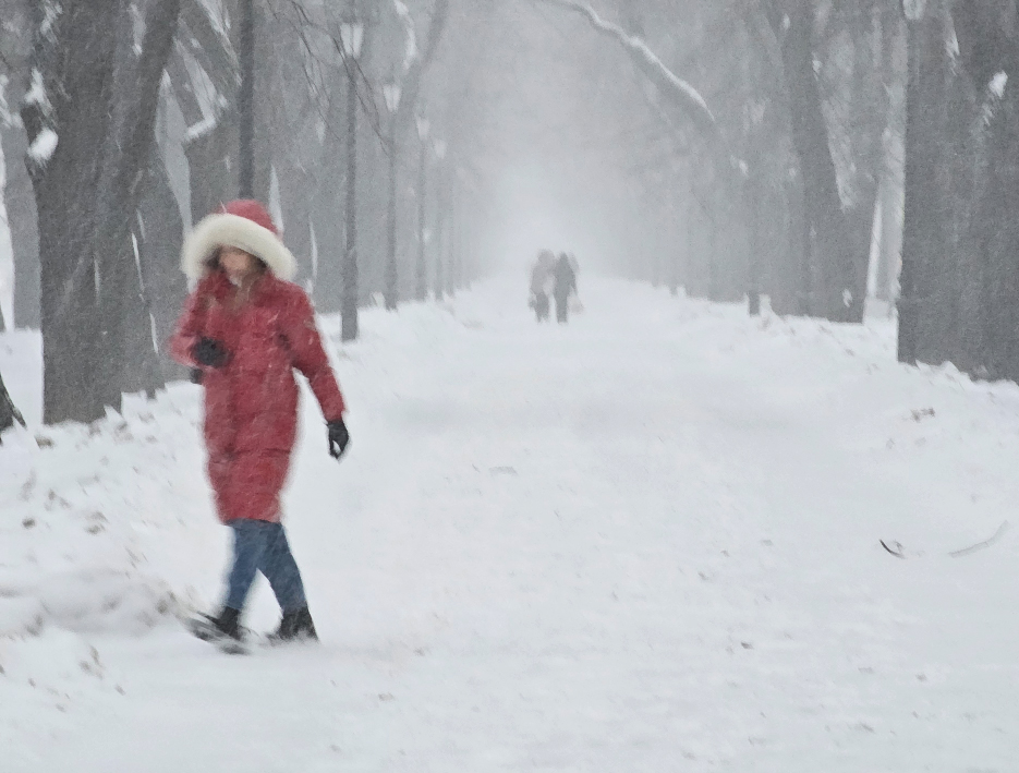 ���������� ��������� ���������