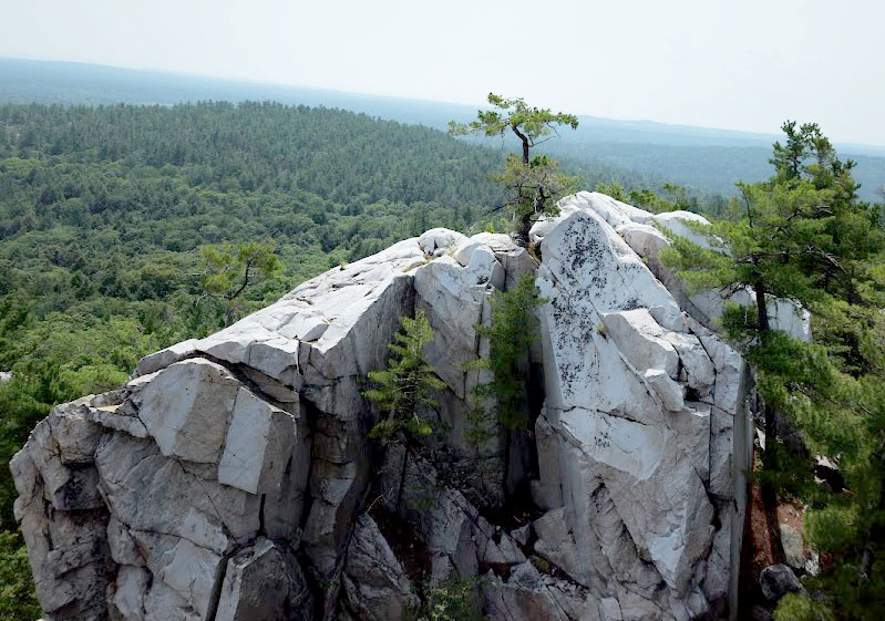 ���������� ****