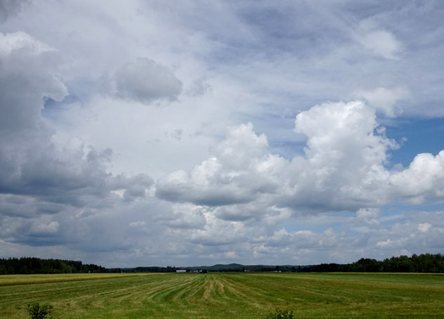 ���������� ****