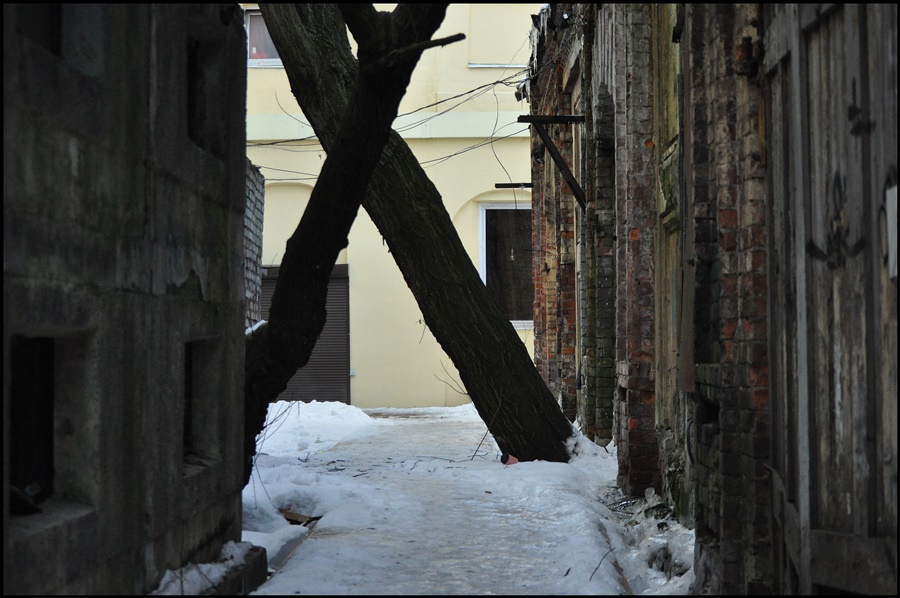 ���������� 7719