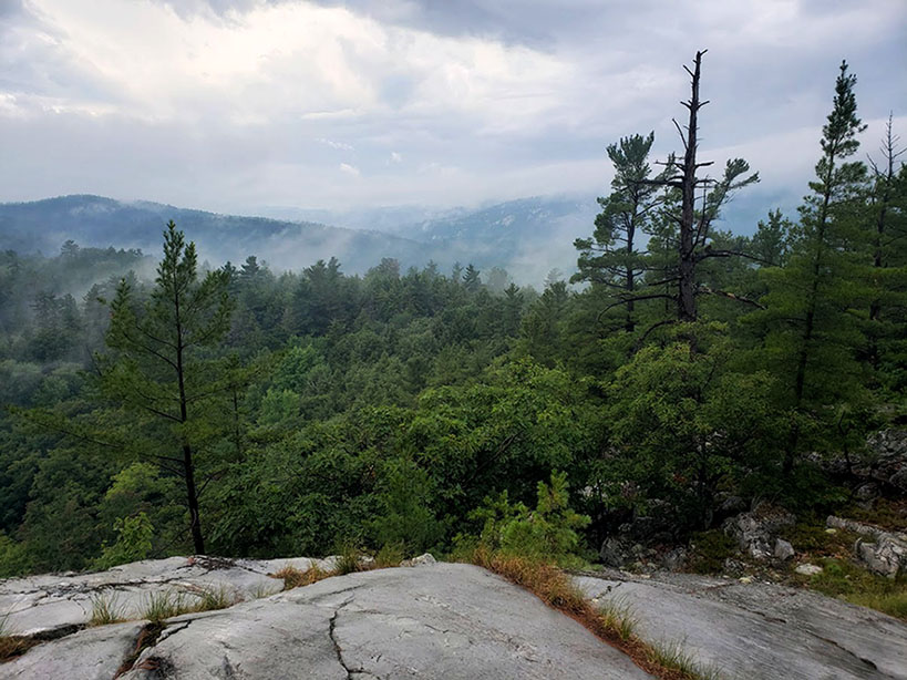 ���������� �������, ��� ���� ������ � ������ 