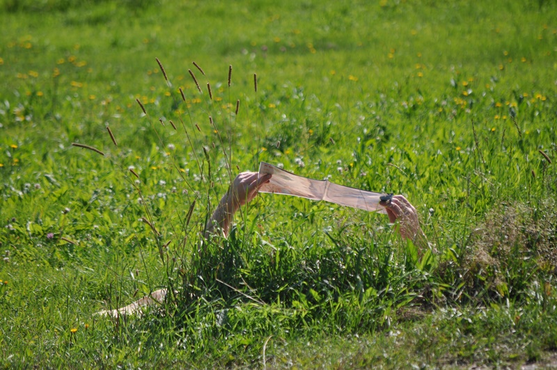 ���������� 6813