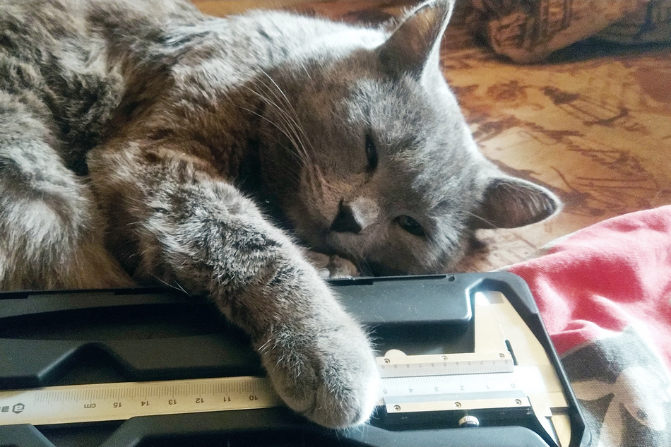 ���������� ��� ��������!...