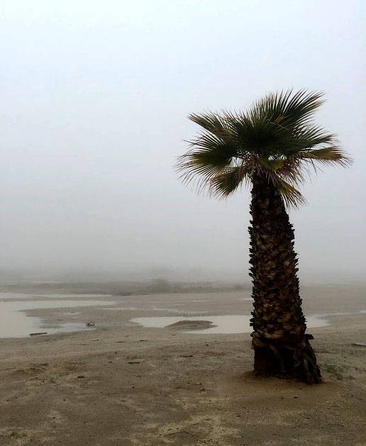 ���������� ����� �������