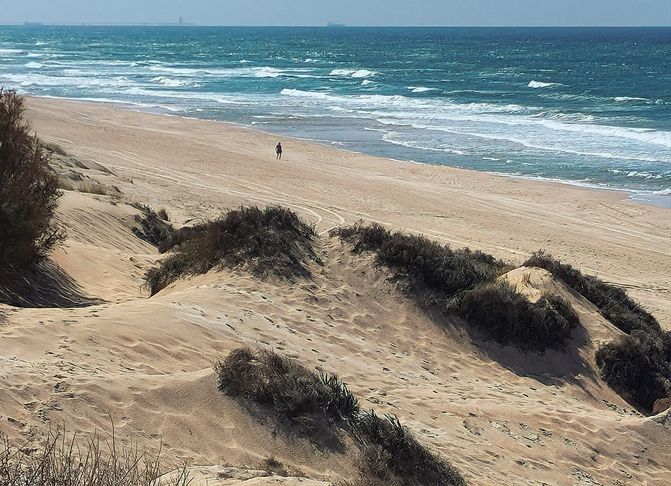 ���������� ���� � ����