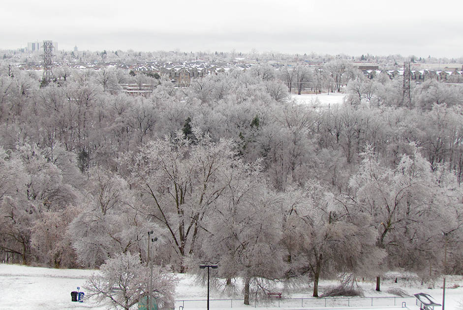 ���������� �����������