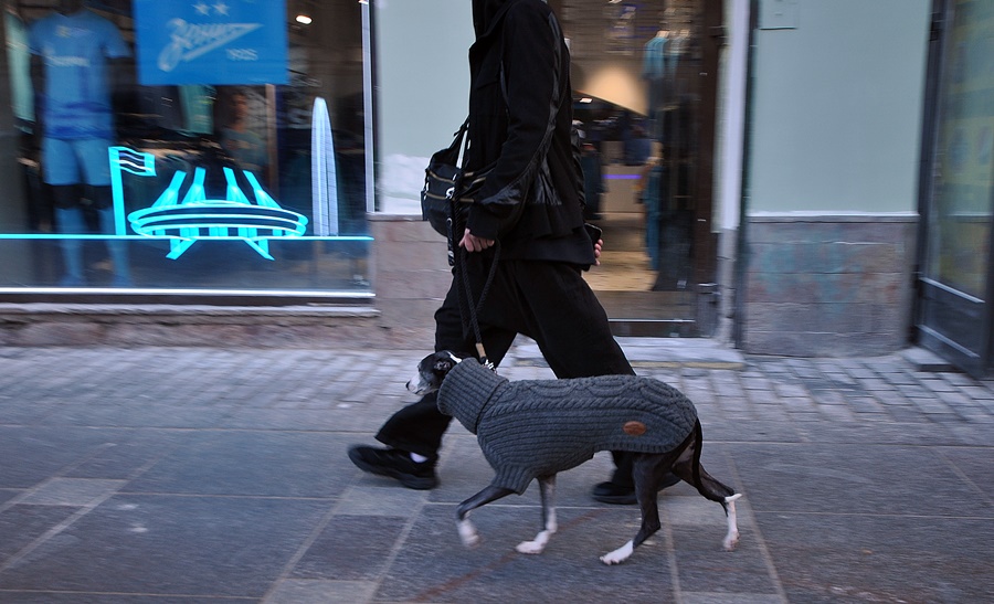 ���������� 0808-1