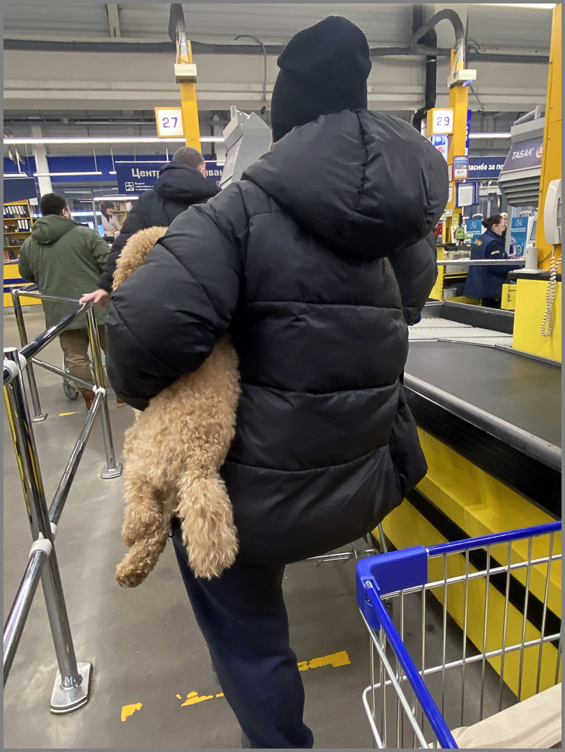 ���������� � ������� � �����