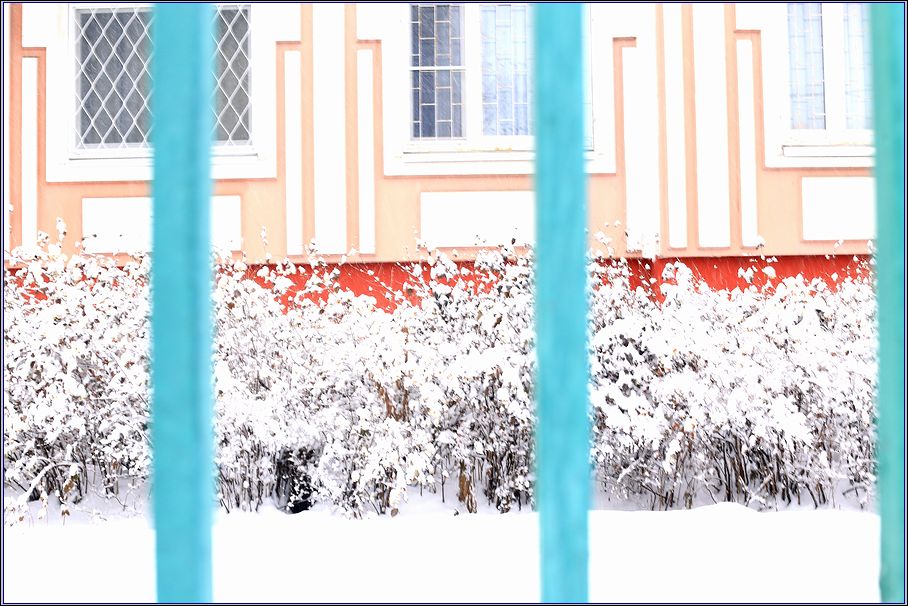 ���������� ****