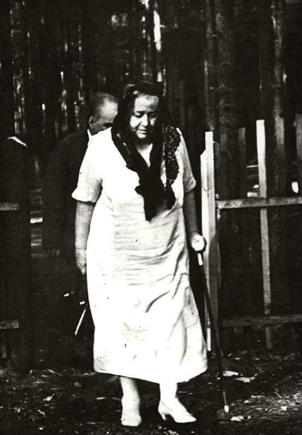 ���������� ���� �� ������ �.�.�����������