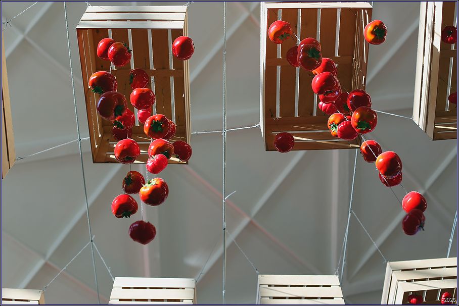 ���������� ����� ������