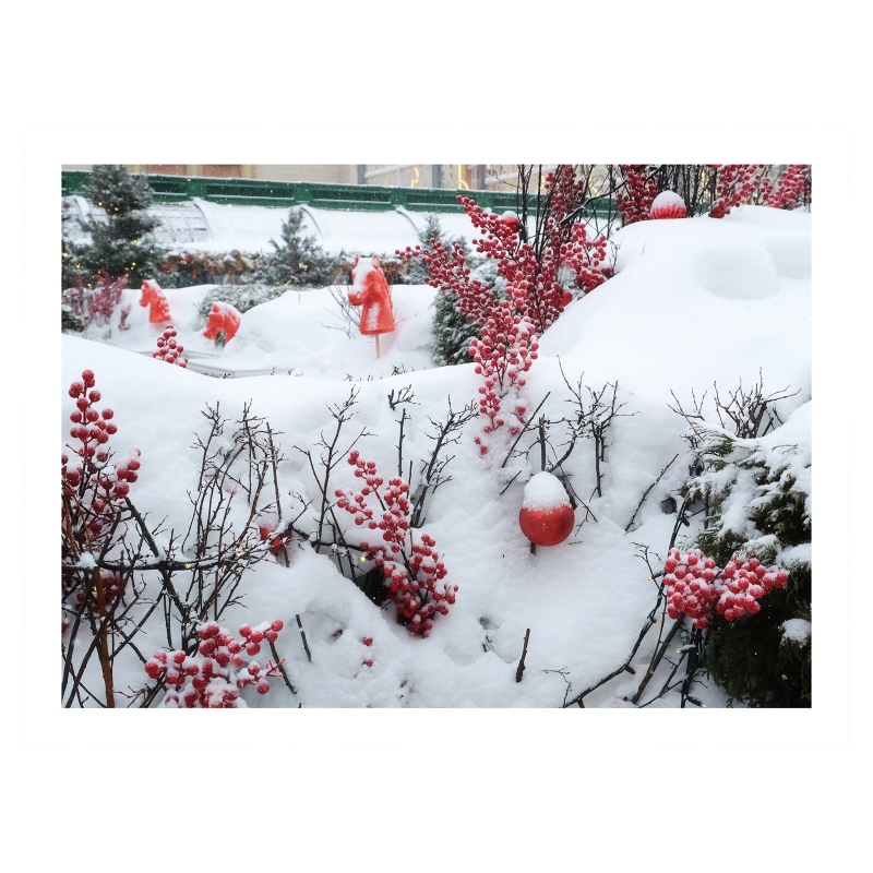 ���������� ���������