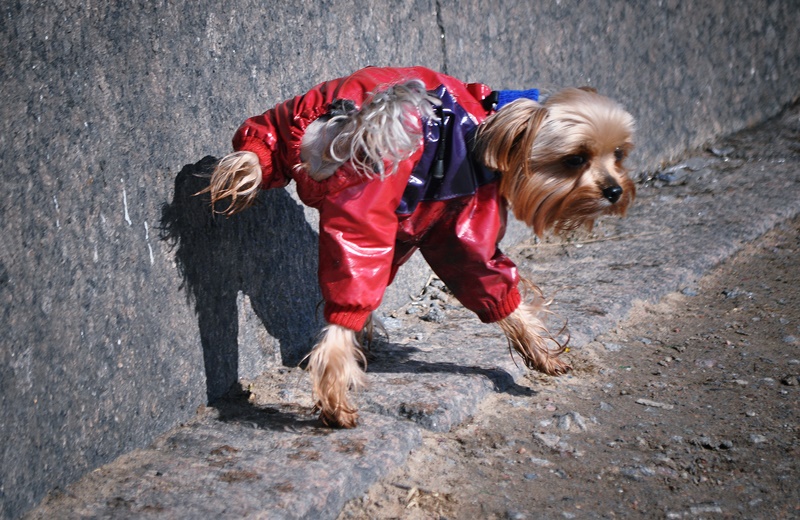 ���������� ������� ����� ��������� �����...