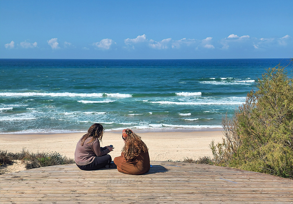 ���������� �������������� ��������