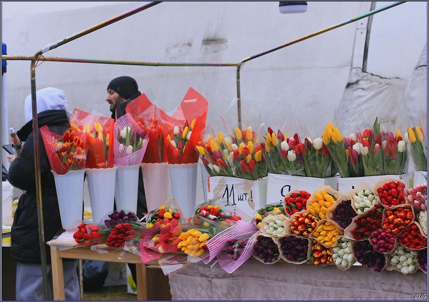 ���������� 8 ������