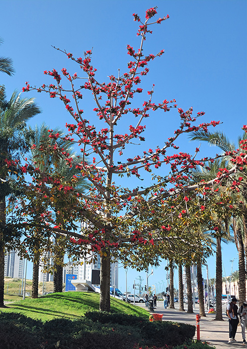 ���������� ����� ��� � ����������