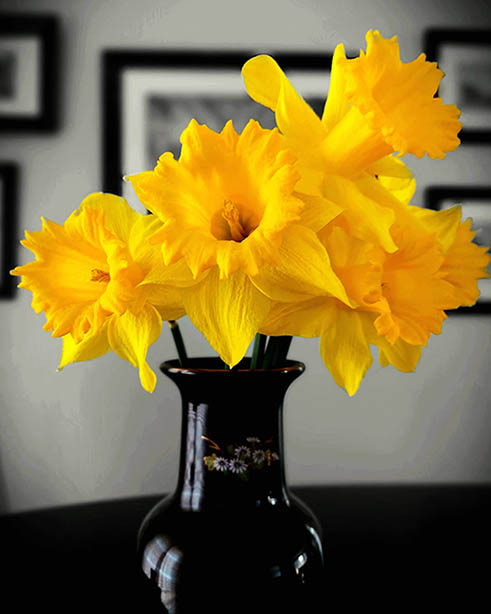 ���������� ����� ������\����� �������