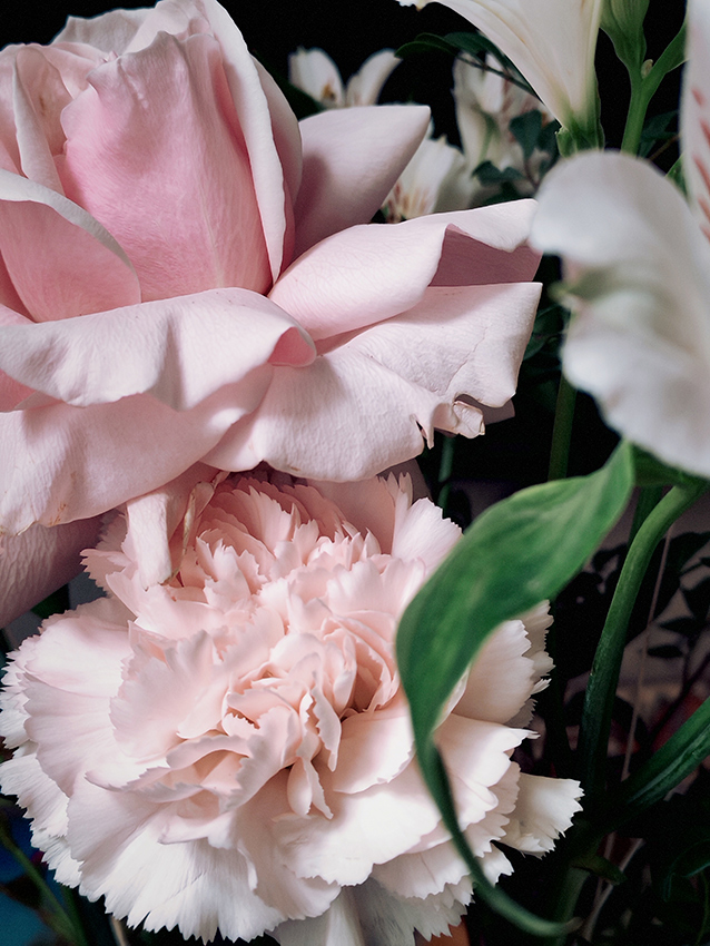 ���������� � ����������!