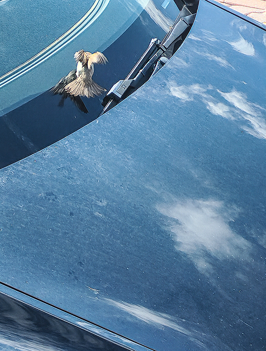 ���������� ��� � �����