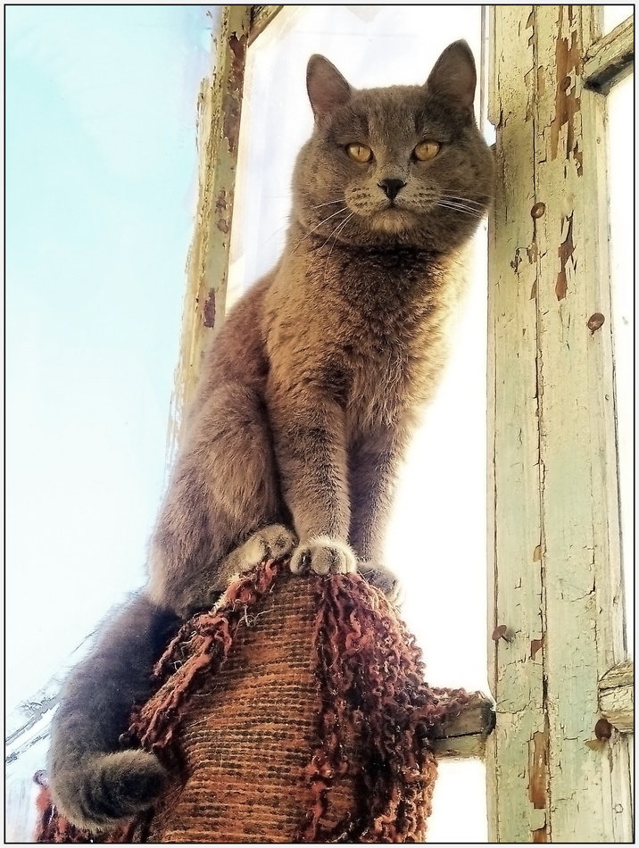 ���������� �������� �������!...