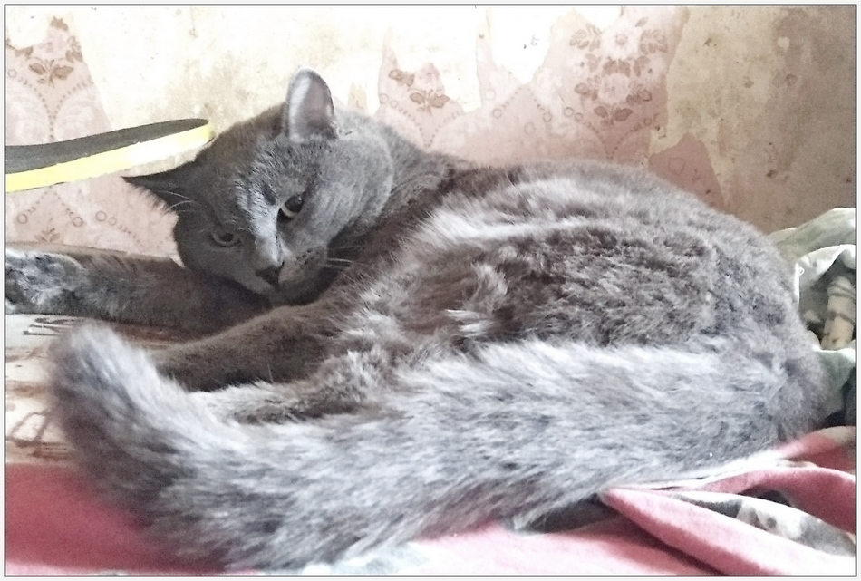 ���������� �����������...