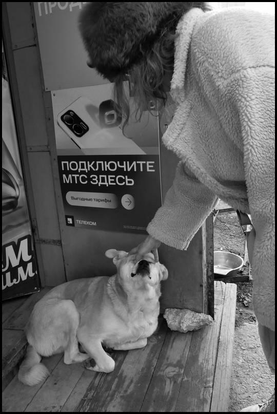 ���������� ��������� ���������.