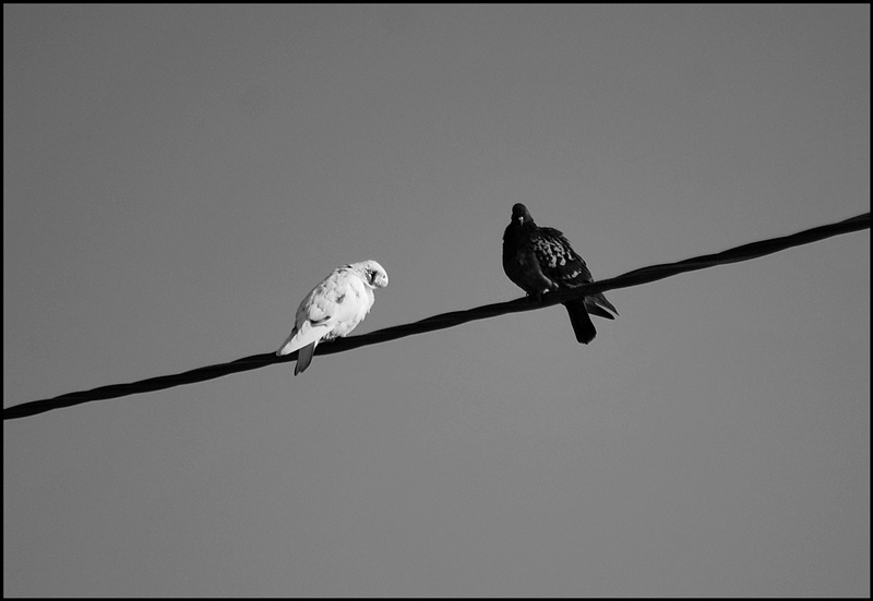 ���������� �\� �����