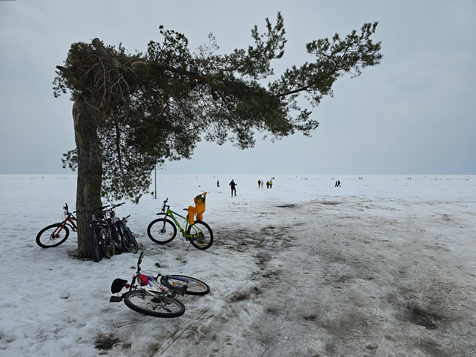 ���������� ������������ ������