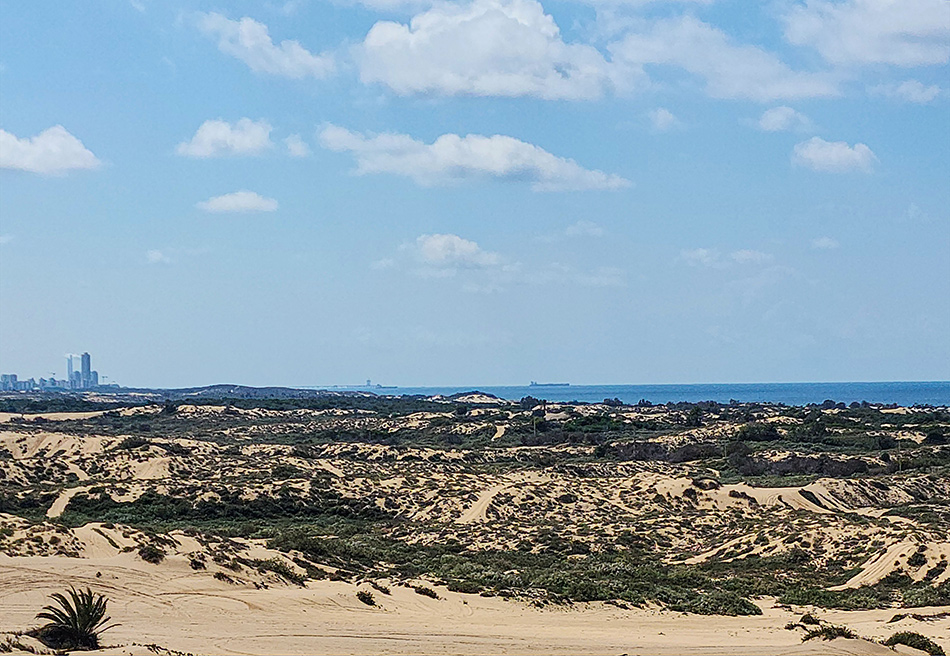 ���������� �ݣ ��� ��� ����