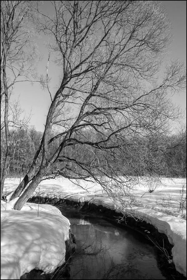 ���������� �� ����� ����������